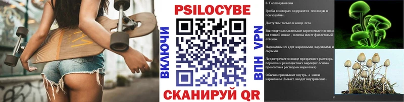 хочу наркоту  Окуловка  Псилоцибиновые грибы мицелий 