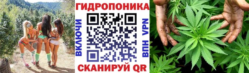 где можно купить   Окуловка  Бошки Шишки Ganja 